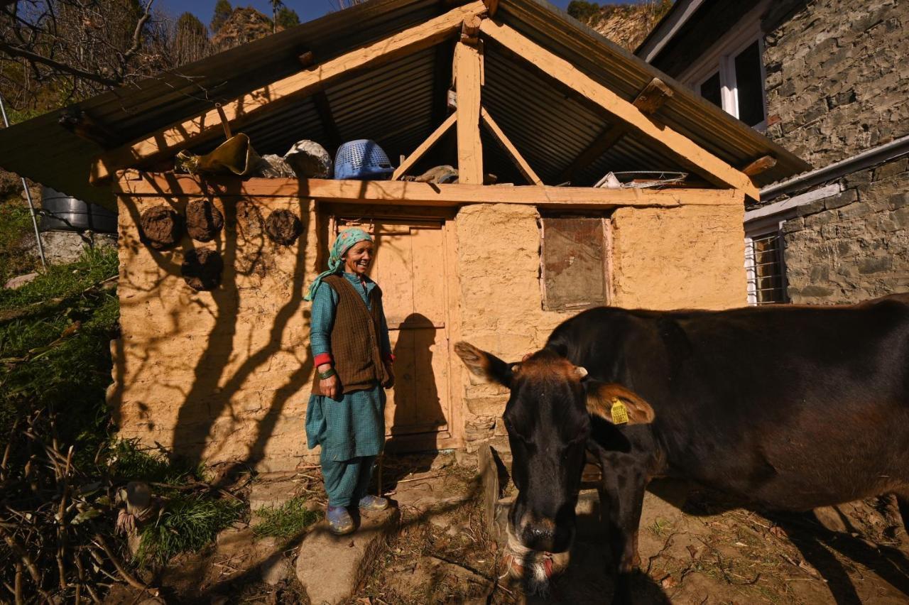 Zostel Dobhi, Manali Vandrarhem Nagar  Exteriör bild