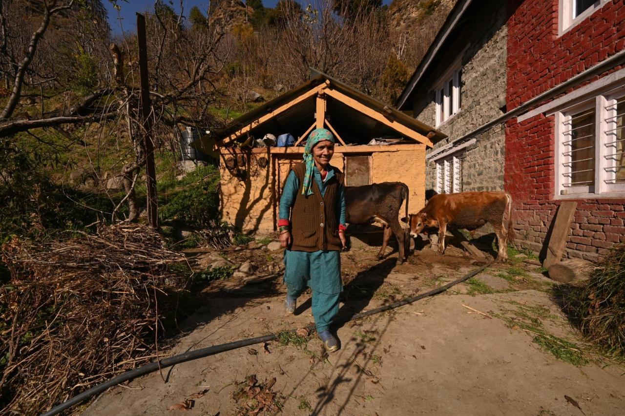Zostel Dobhi, Manali Vandrarhem Nagar  Exteriör bild